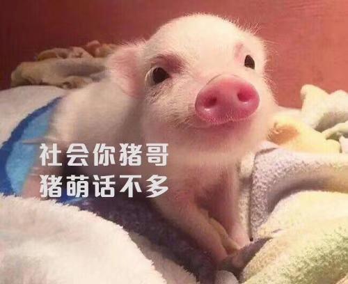 龙岩广源驾校,驾校学车,学车,泉州,晋江,小车培训,考驾照