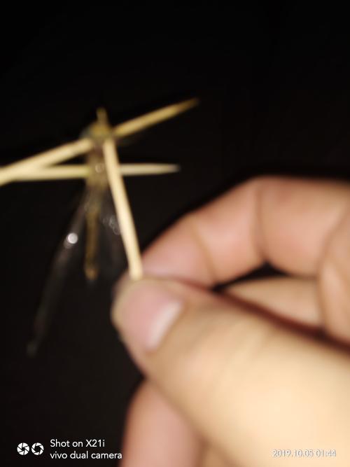 龙岩广源驾校,驾校学车,学车,泉州,晋江,小车培训,考驾照