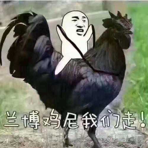 龙岩广源驾校,驾校学车,学车,泉州,晋江,小车培训,考驾照